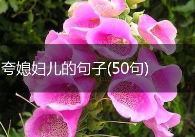 夸媳妇儿的句子(50句)