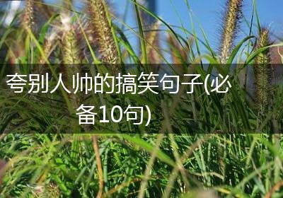 夸别人帅的搞笑句子(必备10句)