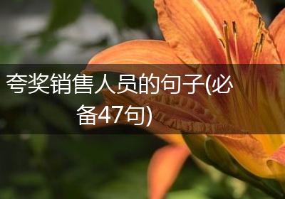 夸奖销售人员的句子(必备47句)