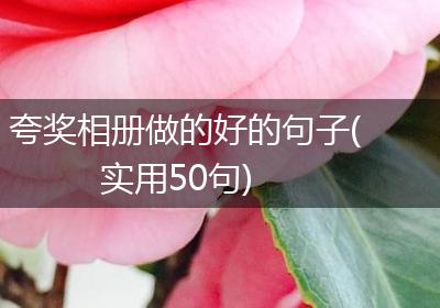 夸奖相册做的好的句子(实用50句)
