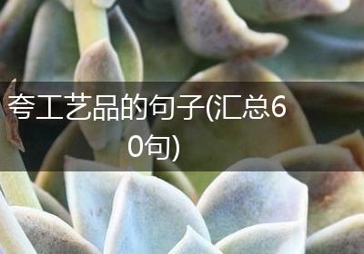 夸工艺品的句子(汇总60句)