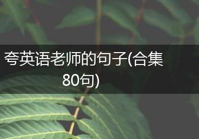 夸英语老师的句子(合集80句)