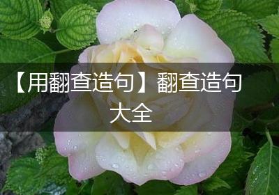 【用翻查造句】翻查造句大全