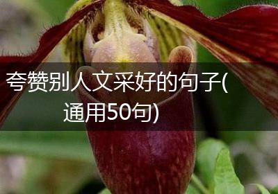 夸赞别人文采好的句子(通用50句)
