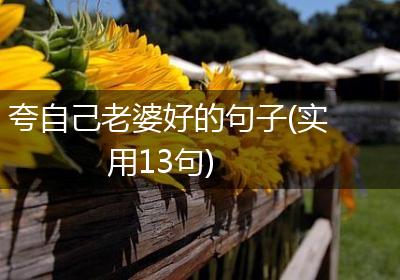 夸自己老婆好的句子(实用13句)