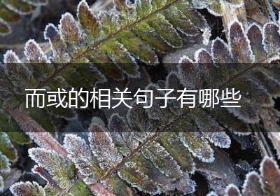 而或的相关句子有哪些
