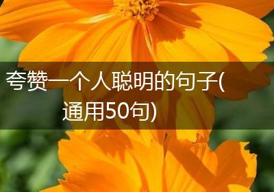 夸赞一个人聪明的句子(通用50句)