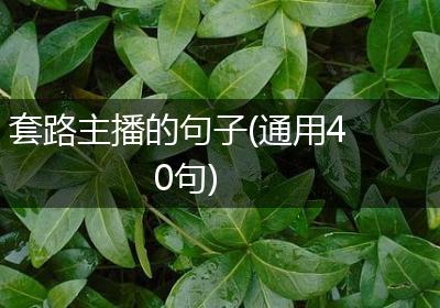 套路主播的句子(通用40句)