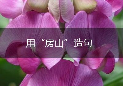 用“房山”造句