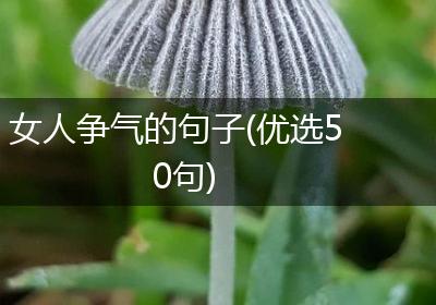 女人争气的句子(优选50句)