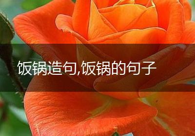 饭锅造句,饭锅的句子