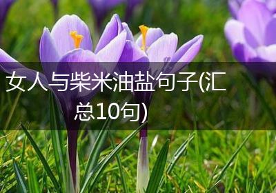 女人与柴米油盐句子(汇总10句)