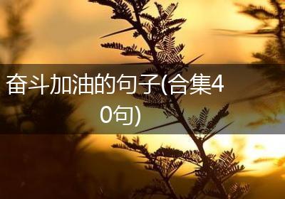 奋斗加油的句子(合集40句)