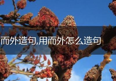 而外造句,用而外怎么造句