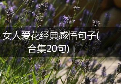 女人爱花经典感悟句子(合集20句)