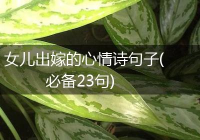 女儿出嫁的心情诗句子(必备23句)