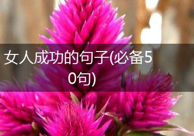 女人成功的句子(必备50句)