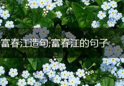 富春江造句,富春江的句子