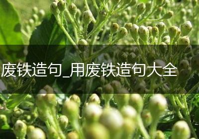 废铁造句_用废铁造句大全