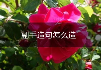 副手造句怎么造