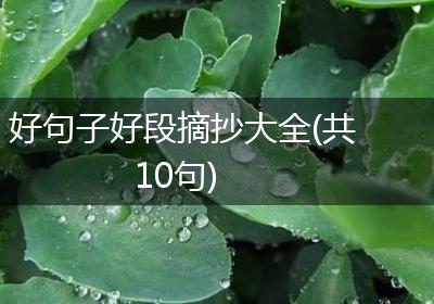 好句子好段摘抄大全(共10句)