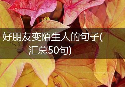 好朋友变陌生人的句子(汇总50句)