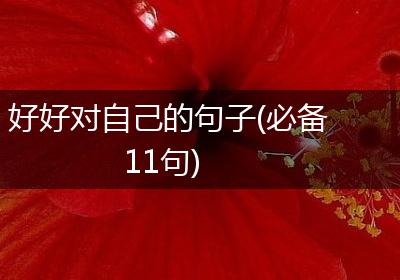 好好对自己的句子(必备11句)