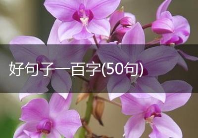 好句子一百字(50句)