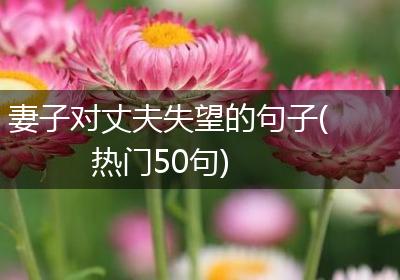 妻子对丈夫失望的句子(热门50句)