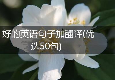 好的英语句子加翻译(优选50句)