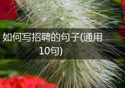 如何写招聘的句子(通用10句)