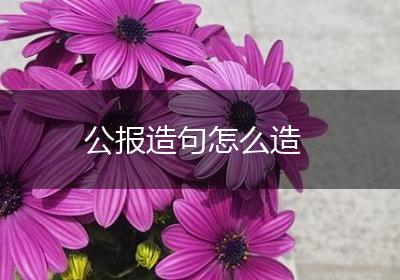 公报造句怎么造