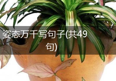 姿态万千写句子(共49句)