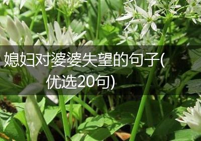 媳妇对婆婆失望的句子(优选20句)
