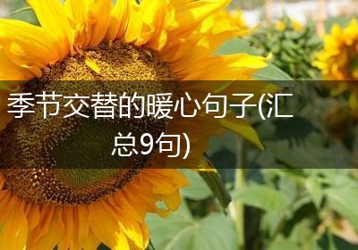 季节交替的暖心句子(汇总9句)
