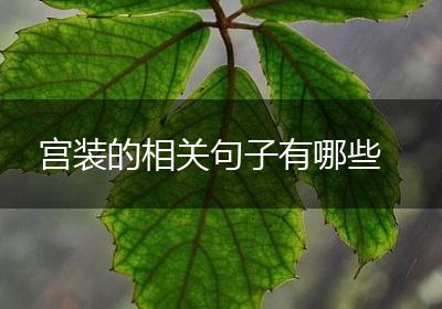 宫装的相关句子有哪些