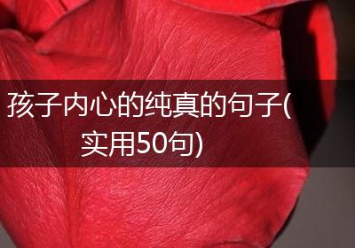 孩子内心的纯真的句子(实用50句)