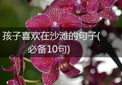 孩子喜欢在沙滩的句子(必备10句)