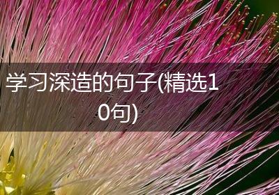 学习深造的句子(精选10句)