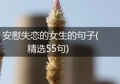 安慰失恋的女生的句子(精选55句)