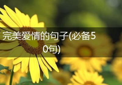 完美爱情的句子(必备50句)