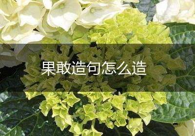 果敢造句怎么造