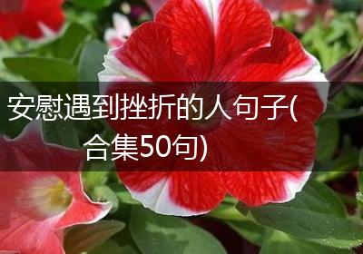 安慰遇到挫折的人句子(合集50句)