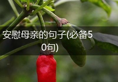 安慰母亲的句子(必备50句)