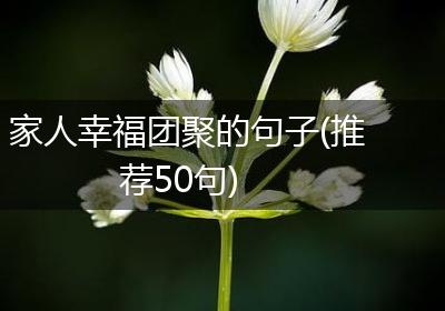 家人幸福团聚的句子(推荐50句)