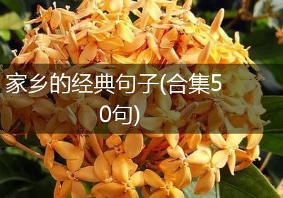 家乡的经典句子(合集50句)