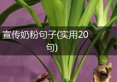 宣传奶粉句子(实用20句)