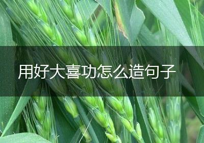 用好大喜功怎么造句子