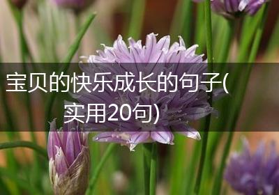宝贝的快乐成长的句子(实用20句)