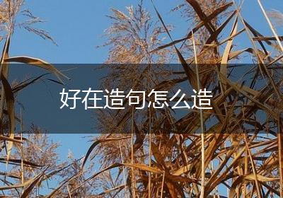 好在造句怎么造